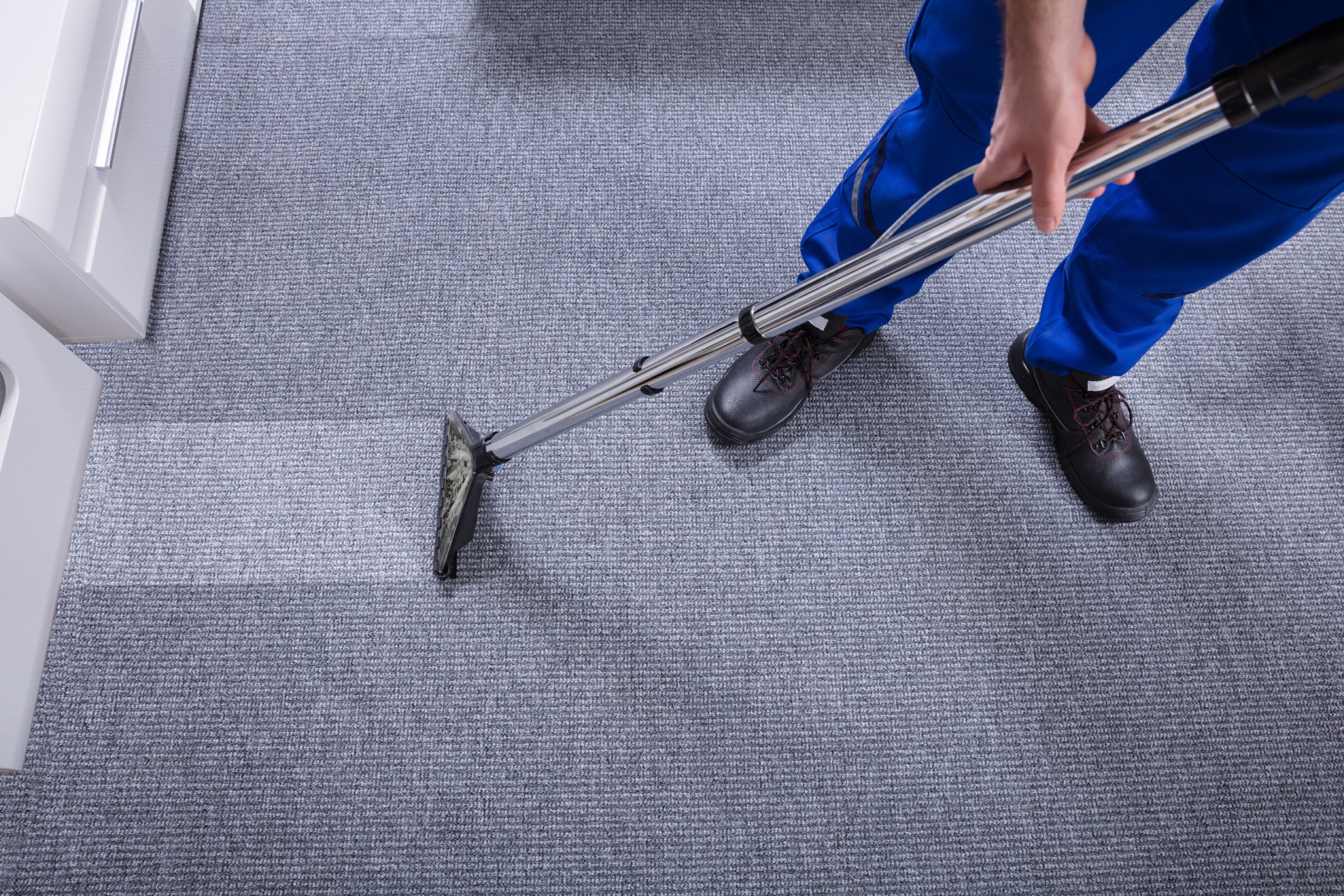 What You Need to Know about Carpet Cleaning, Upholstery and Blind Cleaning  Services